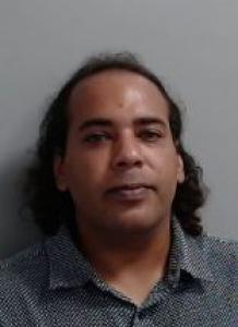 Elvin Rafael Torres Delgado a registered Sexual Offender or Predator of Florida