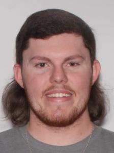 Thomas Aaron Williamson a registered Sexual Offender or Predator of Florida