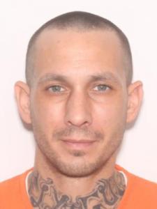 Shawn Michael Layne a registered Sexual Offender or Predator of Florida