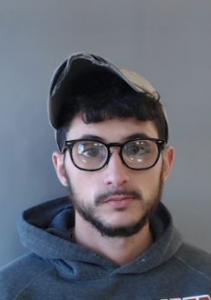 Wesley Logan Bertrand a registered Sexual Offender or Predator of Florida