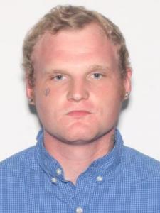 Dillon Taylor Wilson a registered Sexual Offender or Predator of Florida