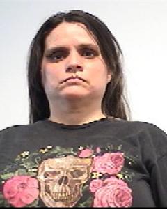 Sally Denise Ortiz a registered Sexual Offender or Predator of Florida