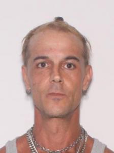 Anthony John Ciccotelli a registered Sexual Offender or Predator of Florida