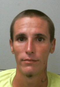Steven Robert Steen Jr a registered Sexual Offender or Predator of Florida