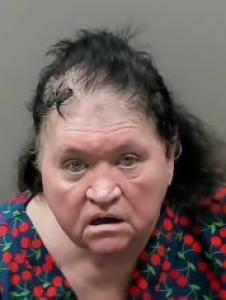 Mary Ann Bass a registered Sexual Offender or Predator of Florida