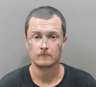 Christopher Lee Henry a registered Sexual Offender or Predator of Florida