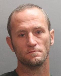 Brian Parker Lanier a registered Sexual Offender or Predator of Florida
