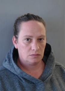 Diana Marie Johnston a registered Sexual Offender or Predator of Florida