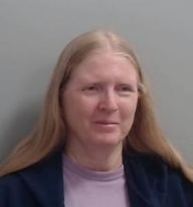 Diane G Bellin a registered Sexual Offender or Predator of Florida