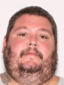 James Allen Johnson Jr a registered Sexual Offender or Predator of Florida