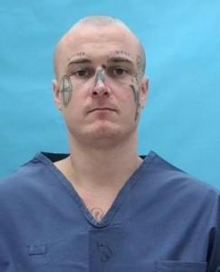 Christopher Lee Henry a registered Sexual Offender or Predator of Florida