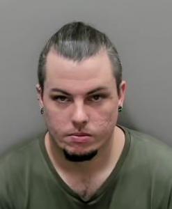 Travis Lee Collins a registered Sexual Offender or Predator of Florida