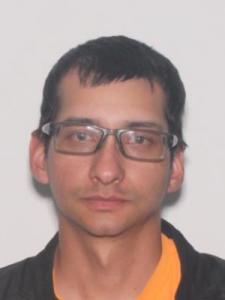 Andres Javier Ramos Irizarry a registered Sexual Offender or Predator of Florida