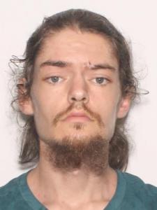 Stian Mckinley Parsons a registered Sexual Offender or Predator of Florida