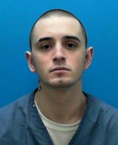 Austin Michael Missinne a registered Sexual Offender or Predator of Florida