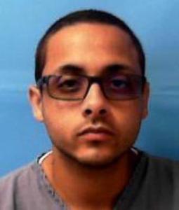 Nelson Xavier Rolon Figueroa a registered Sexual Offender or Predator of Florida