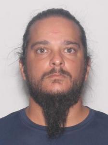 Edward Allen Ellis a registered Sexual Offender or Predator of Florida