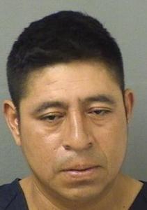 Andres Lainez Diaz a registered Sexual Offender or Predator of Florida