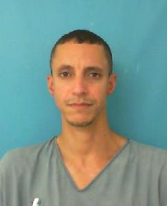 Joel Ahmmed Garcia Vizcarrondo a registered Sexual Offender or Predator of Florida