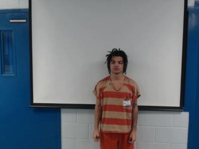 Brendan Adrik Perkins a registered Sexual Offender or Predator of Florida