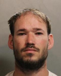 Markus Odin Borg a registered Sexual Offender or Predator of Florida