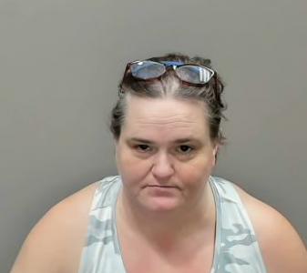 Karen Elizabeth Cummings a registered Sexual Offender or Predator of Florida