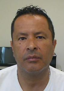 David Andres Lajara a registered Sexual Offender or Predator of Florida