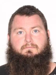 Brandon Michael Carroll a registered Sexual Offender or Predator of Florida