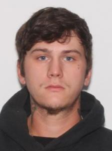 Zachery Alexander Alix Nobles a registered Sexual Offender or Predator of Florida