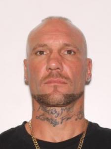 David Christopher Palmer a registered Sexual Offender or Predator of Florida