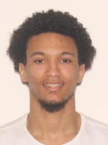 Damien Terrell Powell a registered Sexual Offender or Predator of Florida