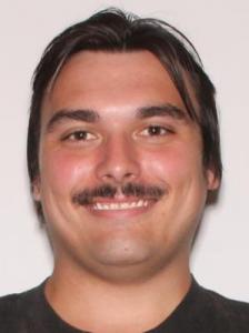 Brian Allan Lippman a registered Sexual Offender or Predator of Florida