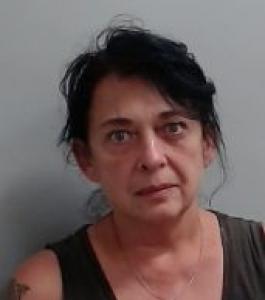 Shelley Diane Hawkins a registered Sexual Offender or Predator of Florida