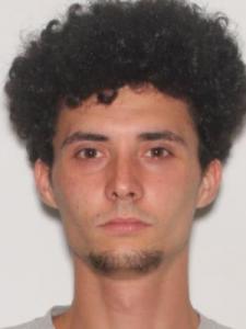 Austin Emanuel Amos a registered Sexual Offender or Predator of Florida