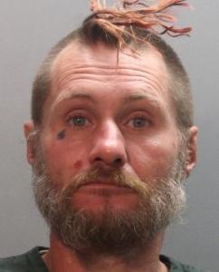 Steven Michael Hollan a registered Sexual Offender or Predator of Florida