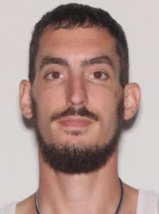 Daniel Ryan Carlson a registered Sexual Offender or Predator of Florida