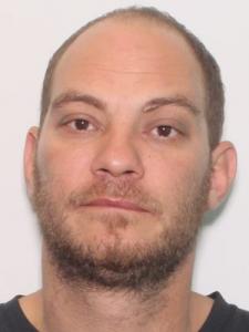 Daniel Nicholas Paris a registered Sexual Offender or Predator of Florida