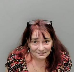 Elizabeth Ann Marvin-counts a registered Sexual Offender or Predator of Florida