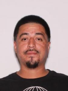 Mike Stanley Flores a registered Sexual Offender or Predator of Florida