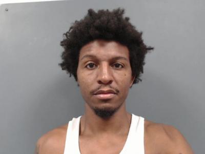 Vincent Lamar Williams a registered  of Florida