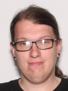 Gregory Steven Allyn Carver a registered Sexual Offender or Predator of Florida