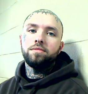 Ian Christopher Mavraedis a registered Sexual Offender or Predator of Florida