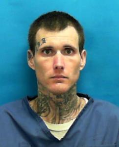 Dylan Michael Standridge a registered Sexual Offender or Predator of Florida