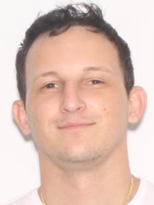 Holland Jacob Incitti a registered Sexual Offender or Predator of Florida