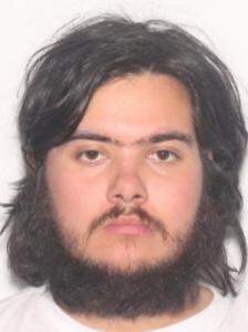 Carlos Allen Menzies a registered Sexual Offender or Predator of Florida