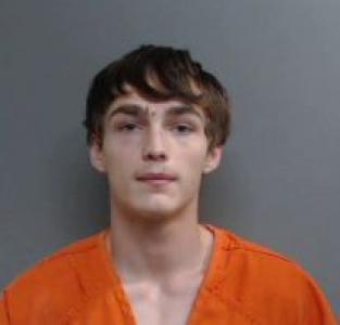 Dominick Dalton Patterson a registered Sexual Offender or Predator of Florida