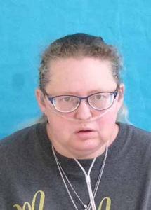 Melissa Ann Clements a registered Sexual Offender or Predator of Florida