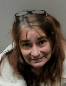 Elizabeth Ann Marvin-counts a registered Sexual Offender or Predator of Florida