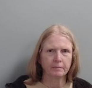 Diane G Bellin a registered Sexual Offender or Predator of Florida