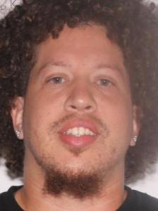 Wilson Jose Lugo a registered Sexual Offender or Predator of Florida